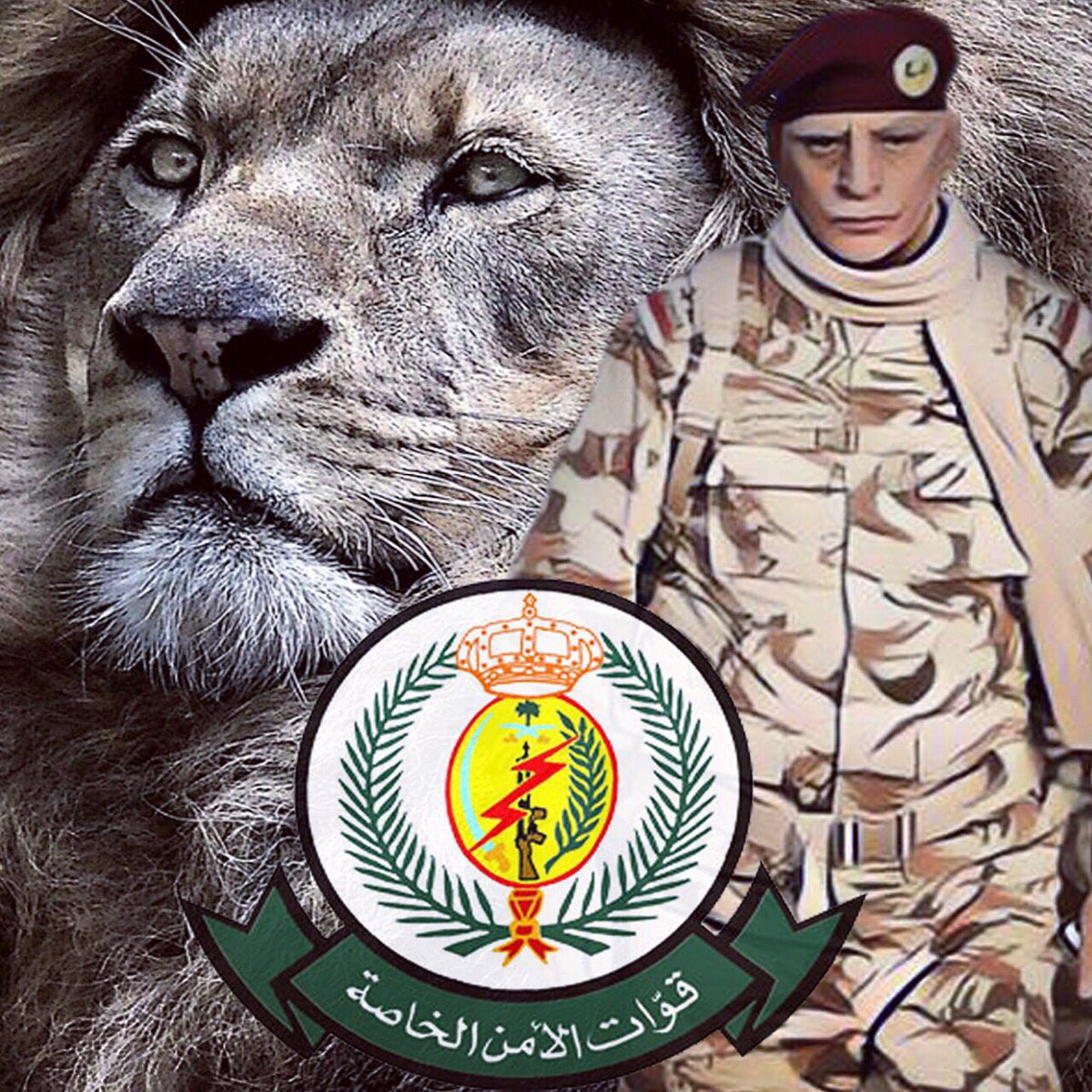 ���� ����� ������ ���� �����