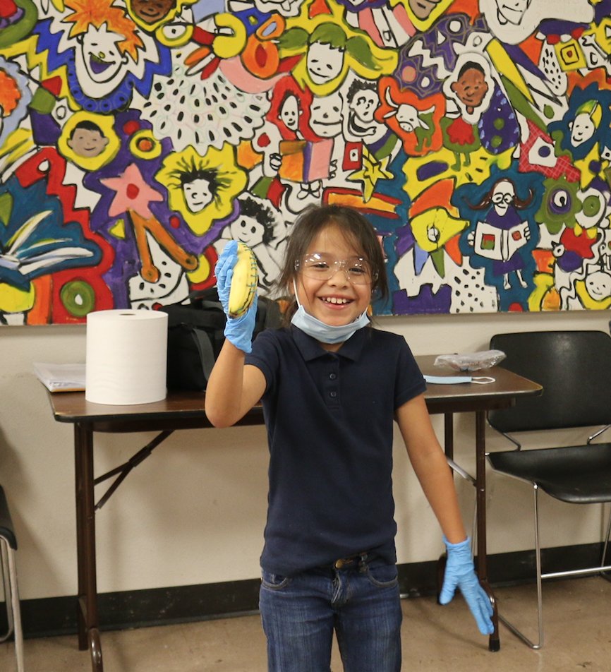 dreamoutside's tweet photo. Banana sutures were so much fun! We have dreamers destined for the operating room. https://t.co/sLDb5blOKP