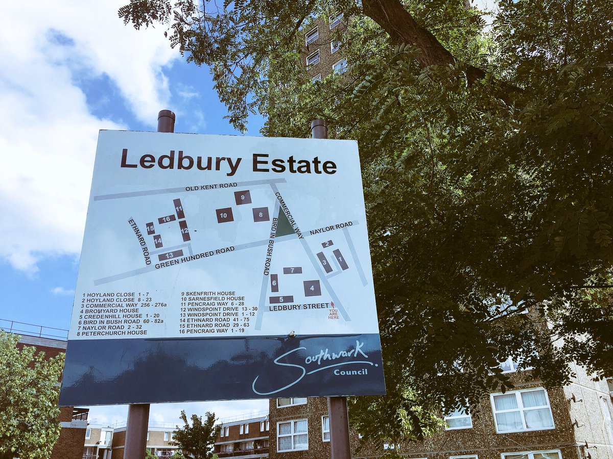 Rainbow Collective 💚 tweet media