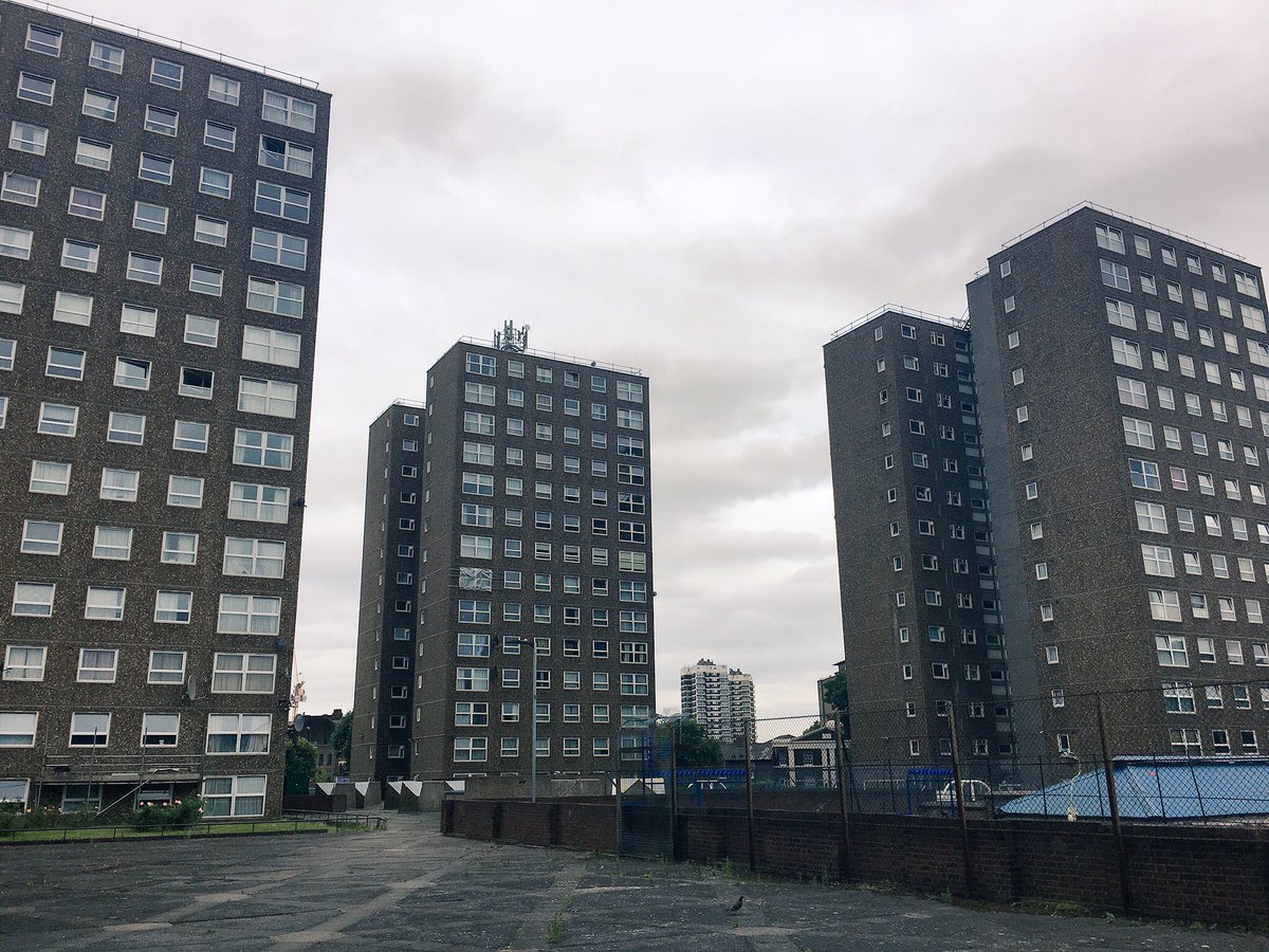 Rainbow Collective 💚 tweet media