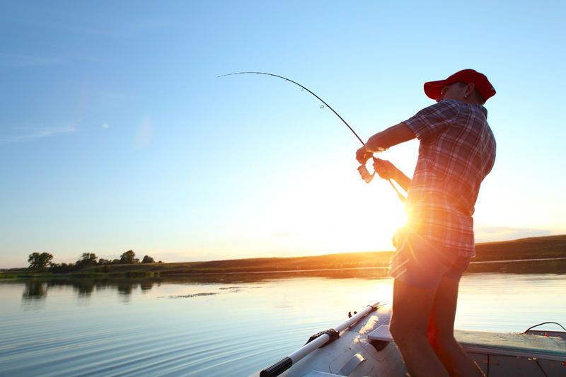 WTEnews's tweet photo. From the @WY_Boomerang: Fish populations could recover quickly from fire. #Wyoming #KeystoneFire https://t.co/9Sm10B0PMZ https://t.co/OVHLCEptrf
