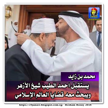 بالصور : محمد بن زايد يستقبل احمد الطيب شيخ الأزهر ويبحث معه قضايا العالم الإسلامي