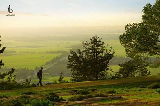 AGhummied's tweet photo. المروج الخضراء في شرق #ليبيا #المرج ، تصوير " بدر الطيب "
Green meadows in eastern #Libya #Elmerj , photo by " Bader Altayeb " https://t.co/oy4qwJDXxX