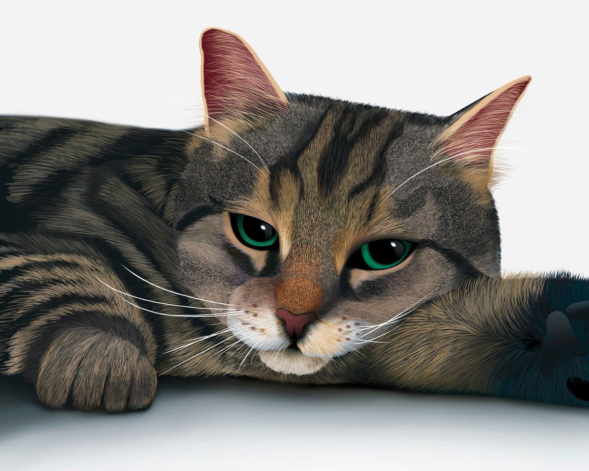 levymarket's tweet image. Another one for you @catsoflevy! This handsome feline and other pet portraits are available from Brighten Your View this Sat at @levymarket!