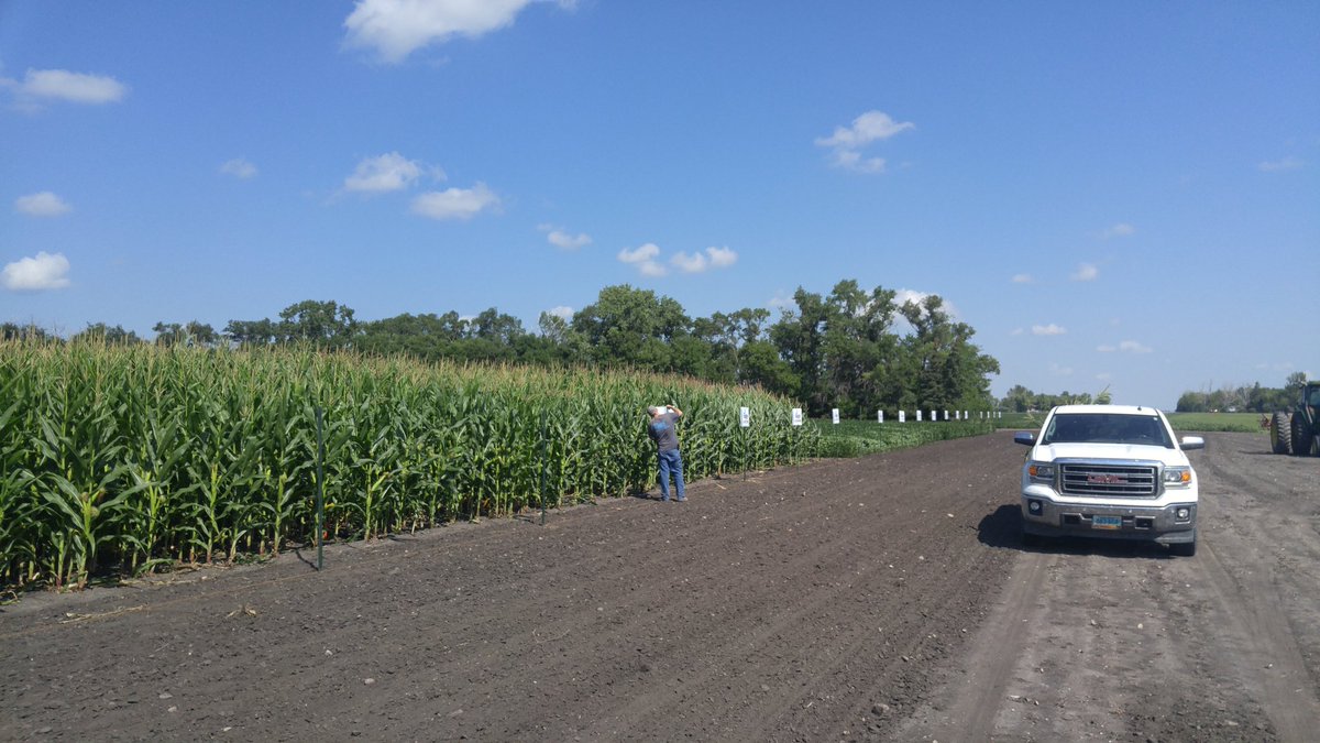 Cody Miller Seeds tweet media