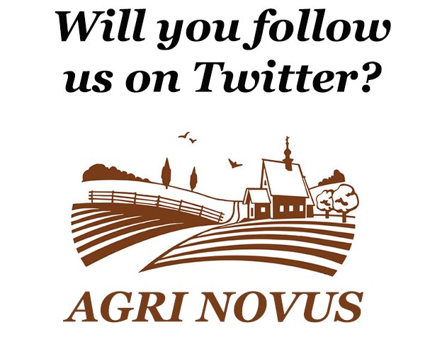 AgriNovus's tweet photo. Welcome to the twitter of Agri Novus. Soon we will post all our coin project updates. Stay Tuned! #bitcoin #bitcoincash #bitcoincrash https://t.co/sr0GOnNifB