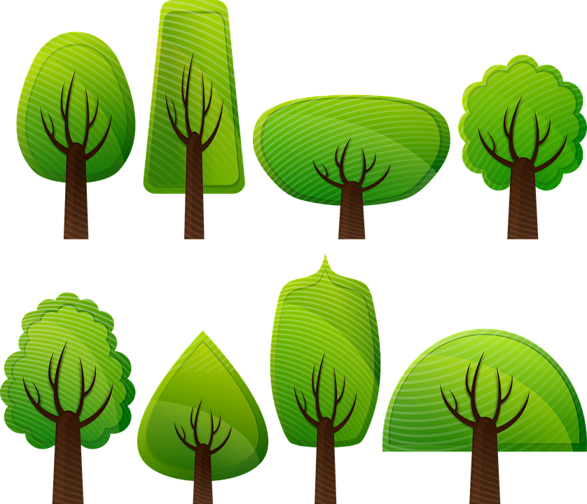 ExperisCanada's tweet photo. Important interview advice: How to answer "What kind of tree would you be?" #secrIT #ITelite https://t.co/tQGmYFyFaj https://t.co/RYZtASR02s