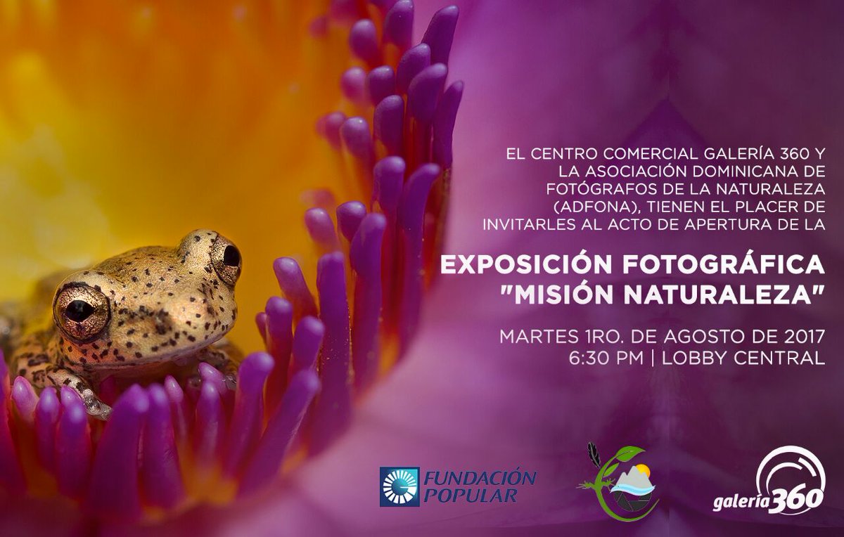 ADFONA (@adfona_inc) on Twitter photo 