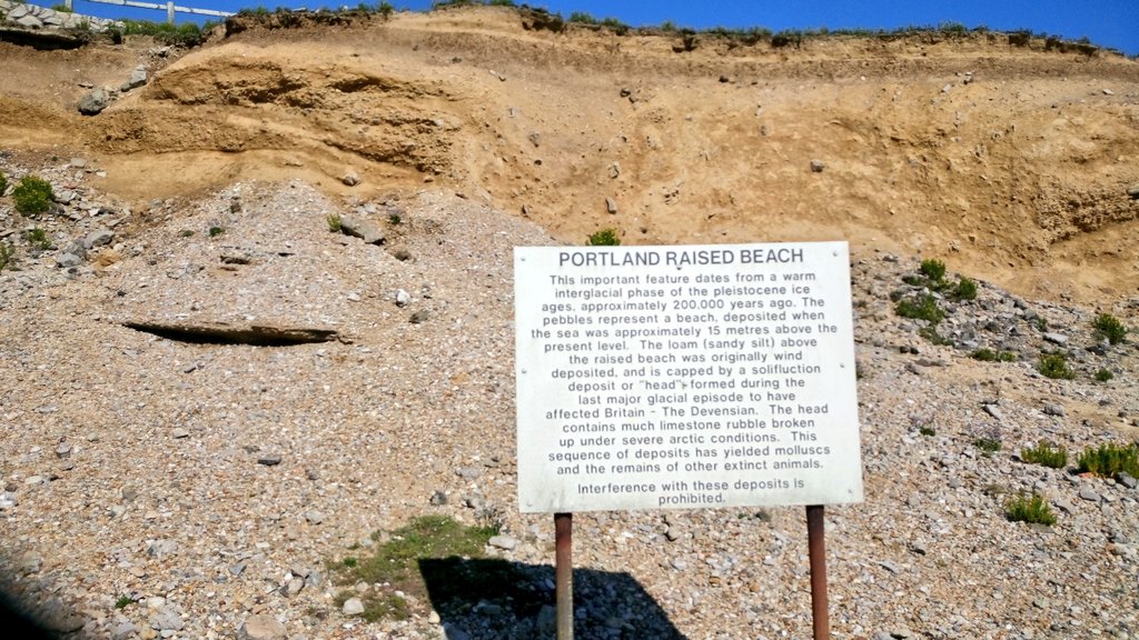 LeesonHouse's tweet photo. Checking out the #raisedbeaches on #portland with @rockwatchclub. Two beaches, one 120kya (East)another 210kya (West). @jurassic_coast https://t.co/Uam5GTW44s