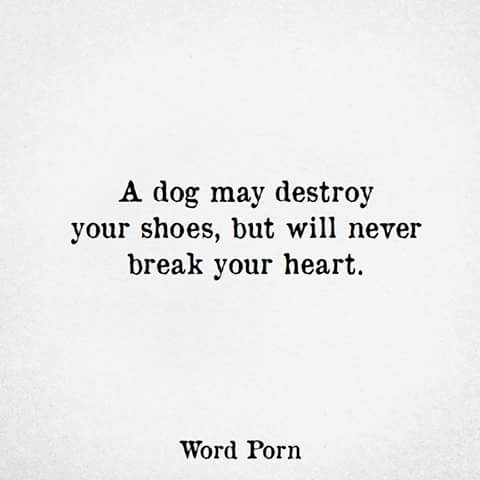 Ain't that the truth!!!!