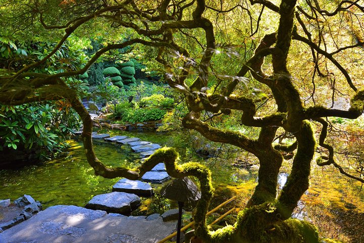 8PM tonight at #ButchartGardens: Ballet Étoile. Modern and classical ballet, lyrical and humorous. Included w/ admission. #yyj #yyjevents