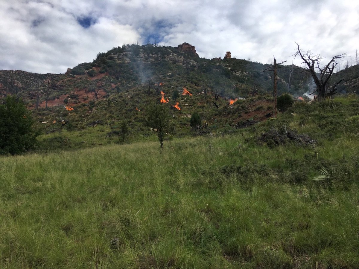 TontoForest's tweet image. #AZTNF Pile burning has begun around Tonto Creek Estates.  Smoke will be visible in the area.inciweb.nwcg.gov/incident/4657/