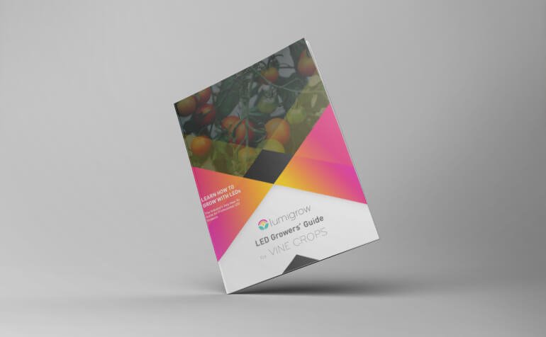 LumiGrow's tweet photo. Excited to announce our LED Growers’ Guide for Vine Crops. Tomatoes, Peppers, Cucumbers #spectralscience #vinecrops https://t.co/7rLAqyWISp https://t.co/kBMNvsmnRg