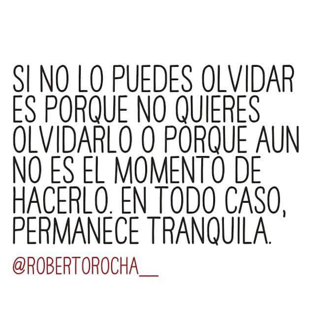 RobertoRocha__'s tweet photo. https://t.co/oMlAWfkdv8