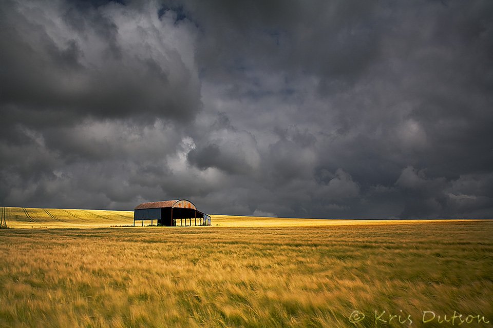 Summer's back #dorsethour ....sort of 😉