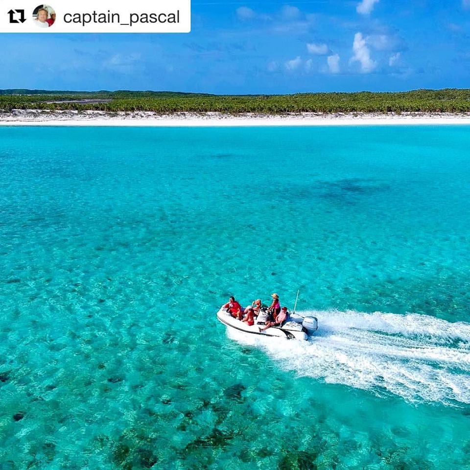 WalkerBayBoats's tweet photo. Hop on Captain Pascal's Generation 450 #YachtTender and get ready for a fun adventure in the #Exumas!
#walkerbayboats #walkerbaygeneration https://t.co/EQSX0njxGQ