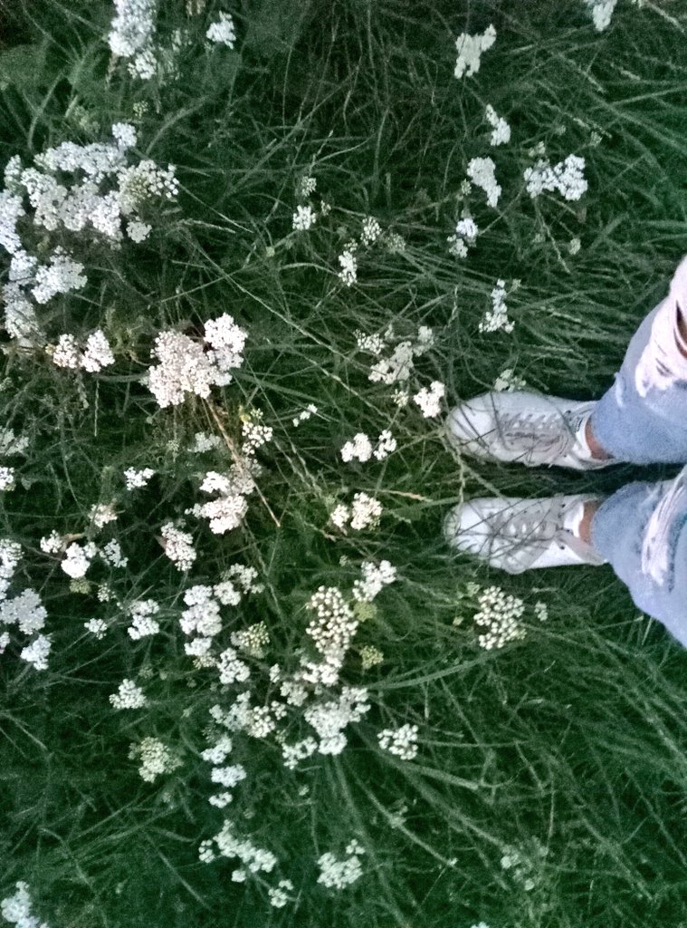 Released_in_lif's tweet photo. #flowers  💋 https://t.co/shCvq6oNLe