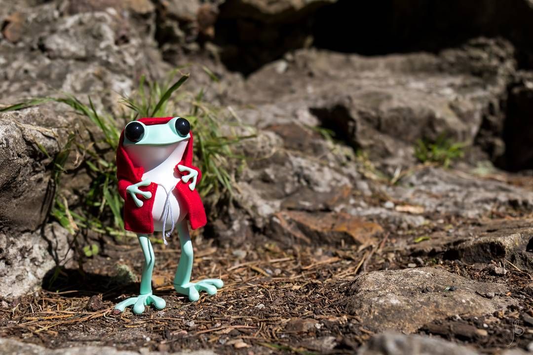 Ballou34's tweet photo. Is it raining yet? #Toys #ApoFrog #Apo #Frog #Vinyl #ArtToy #ArtToys #TwelveDot #Rain https://t.co/pX8yJk2fbz https://t.co/kEzM3VMSDd