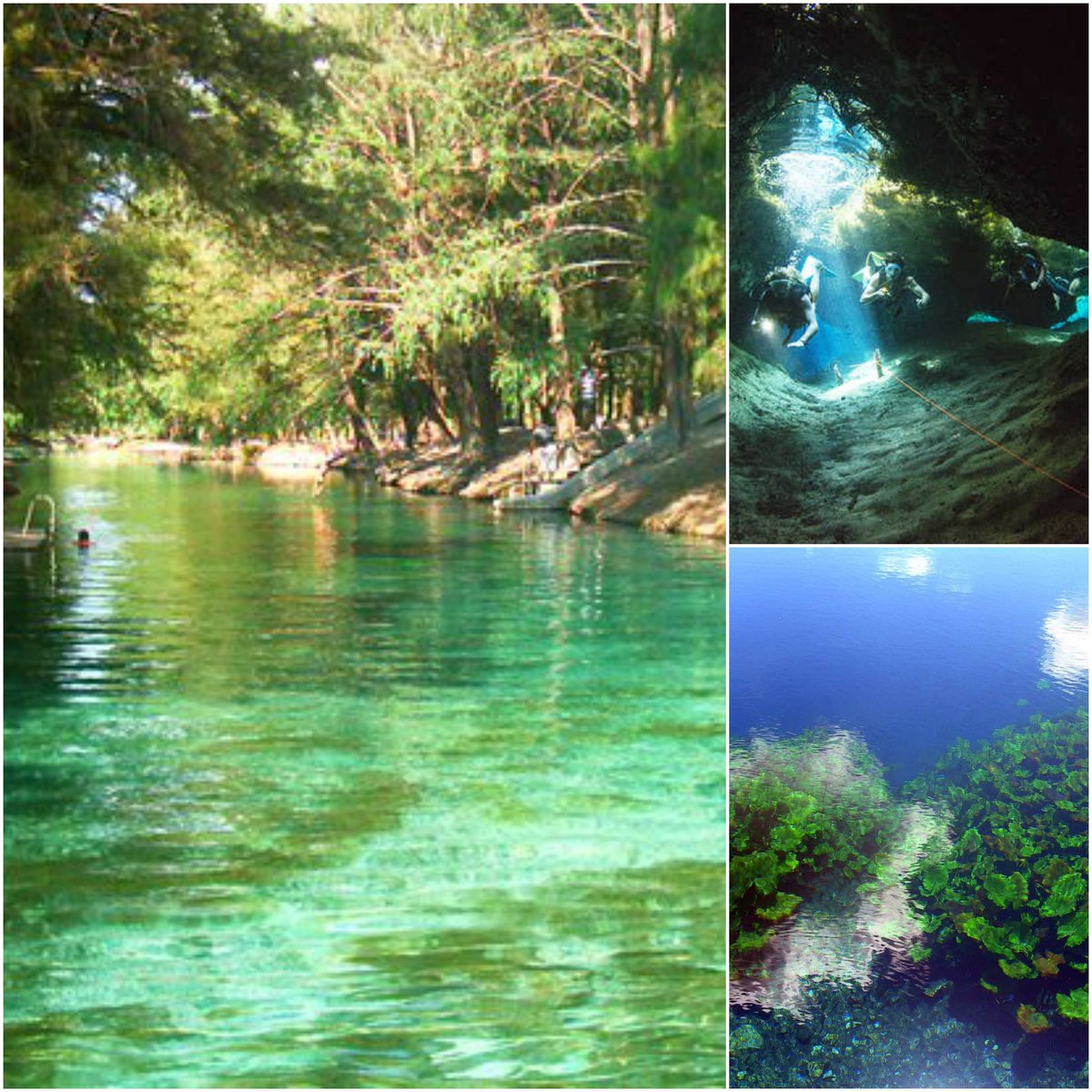 MeetNeu's tweet photo. Visita @SLP_Estado  y conoce Media Luna y bucea en aguas cristalinas. #beautiful #mexico #experience #relax #break #diving #adventure #fun https://t.co/Bqwmj5bs1L