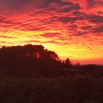 Photo by Lance O'Sullivan (@lance_osullivan)