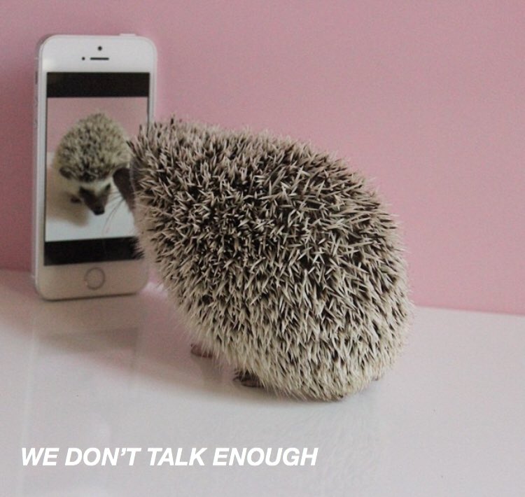 HEDGEHOGLYRICS's tweet photo. sign of the times - harry styles https://t.co/nT4YfIyGFU