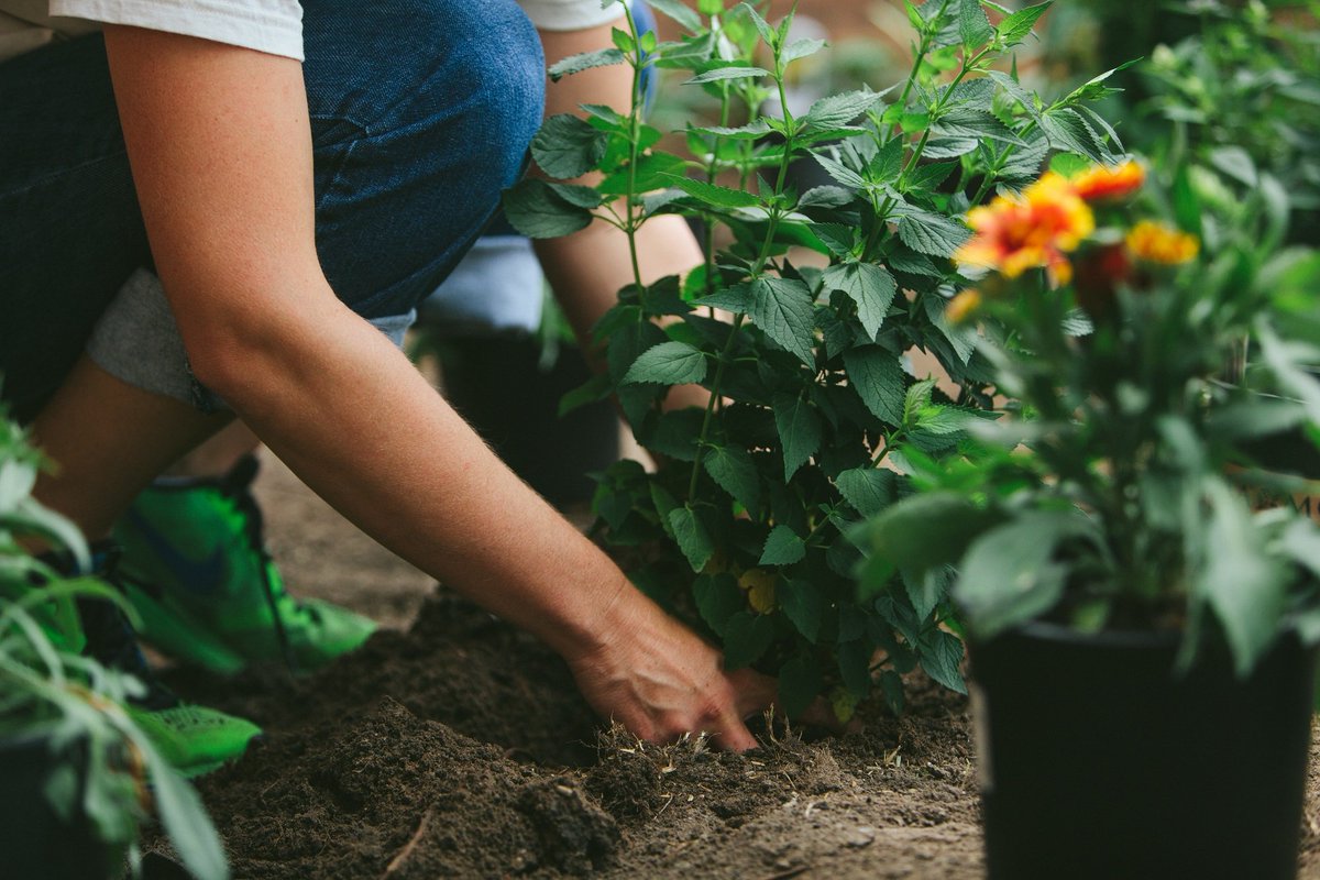 Bee-friendly gardens now surround our Beesponsible HQ — thanks to the help of local landscapers <a href="/FarmShop_/">FarmShop</a> and guidance from <a href="/xercessociety/">The Xerces Society</a>!