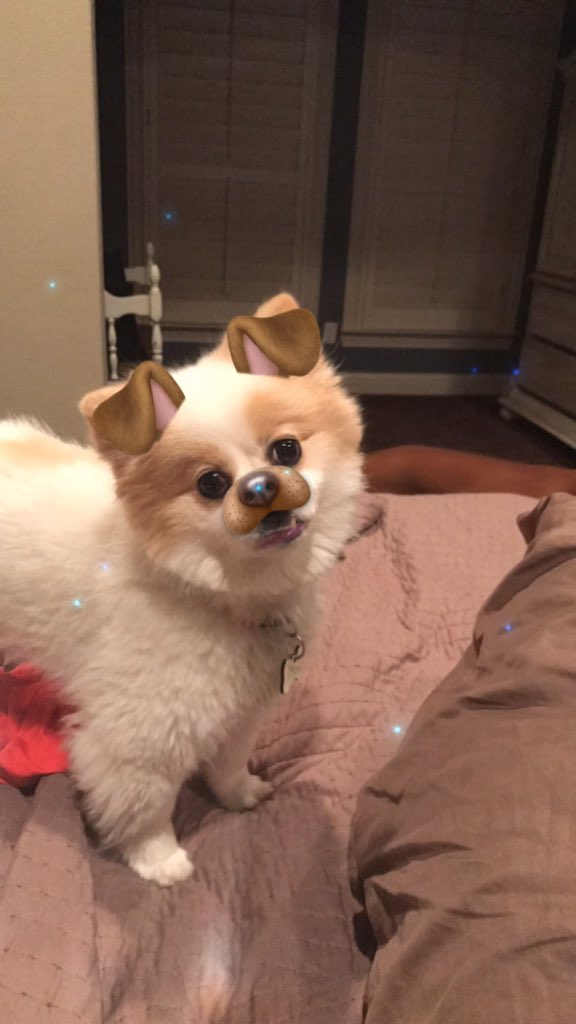 PenneyAcker's tweet photo. @kaitlyn_ann_13 @katelynn_daviss Wow!  You left out the cutest one!! So here ya go. ( don't worry, I won't tell Bella). https://t.co/6OjVJ2u2qW
