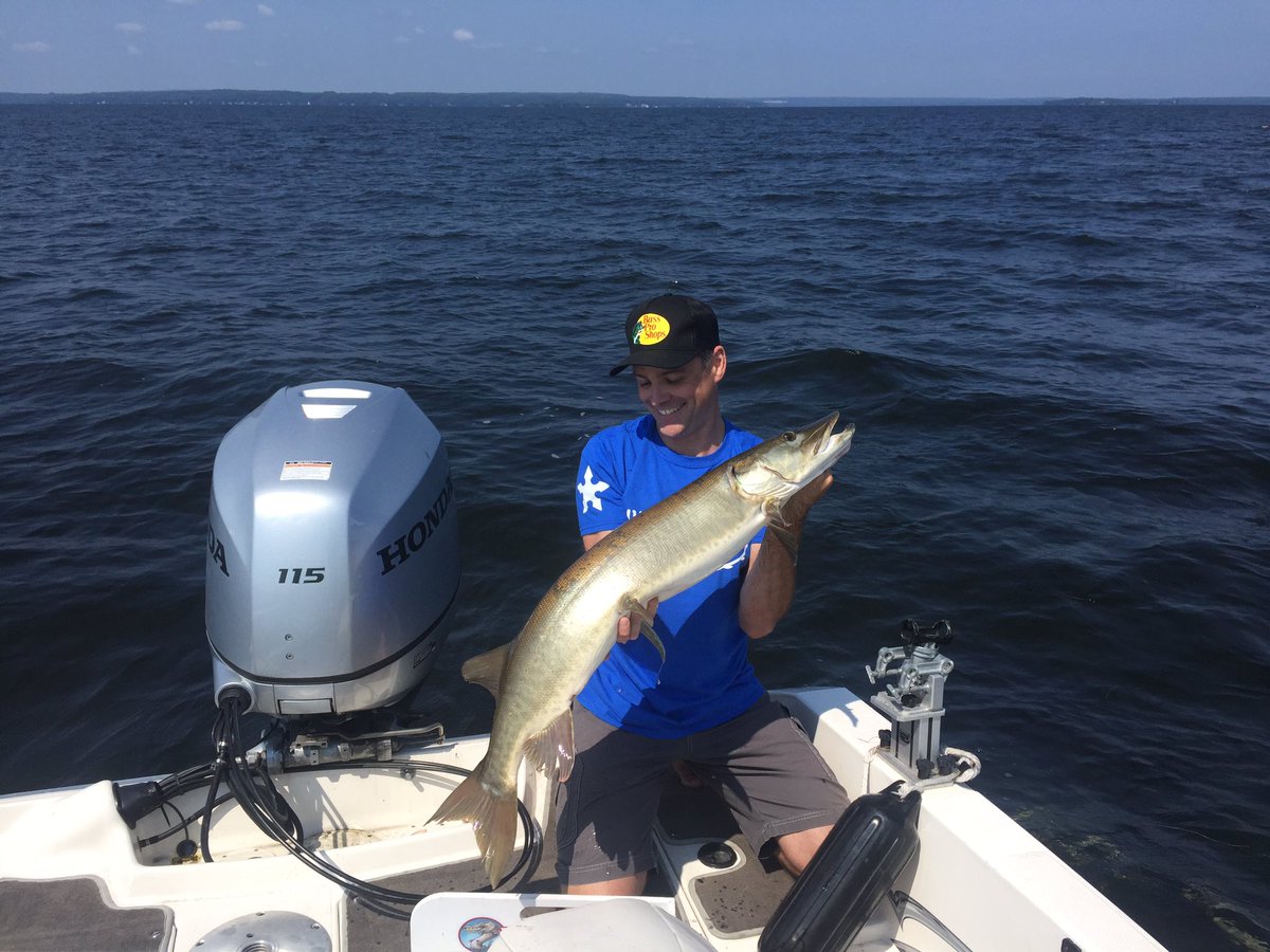 MuskyNinja's tweet photo. Guided my buddy Greg to a nice 42 incher - his first G-Bay Musky after a long 20 year quest!  White Bulldawg over weed flat https://t.co/7iwyGfF8i3