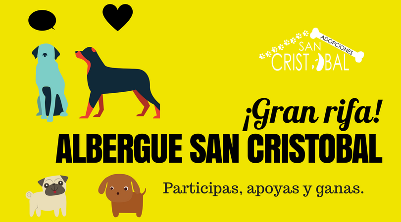 Adopciones_ASC's tweet photo. Los invitamos a participar a nuestra rifa en favor de nuestros perritos de @Adopciones_ASC Boleto $150.°° c/u https://t.co/6KXUorO91n https://t.co/BCXdQuheOX