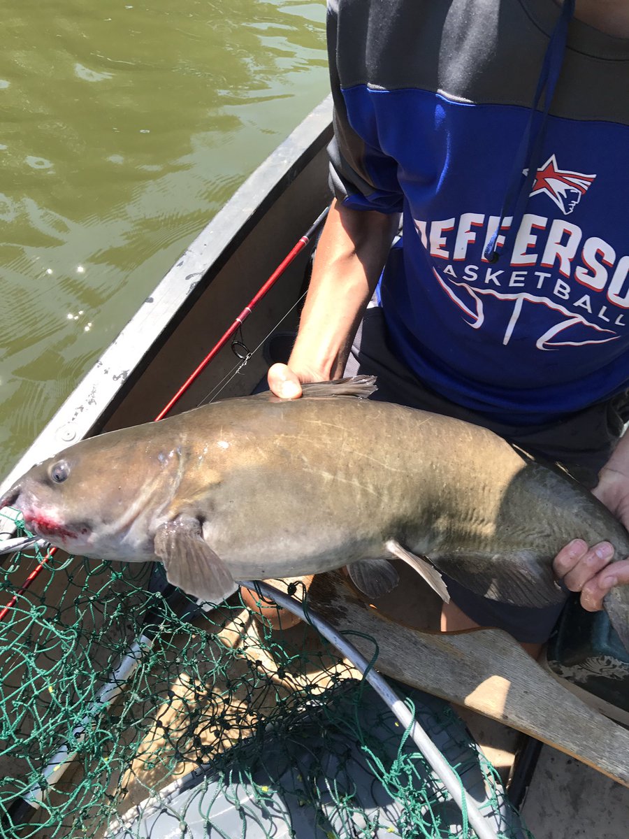 BrentCase1's tweet photo. #ClintonRiverCharters - Fishing Report - They're biting ..... Ty's 1st Catfish ...+10lbs -Walleye-Rock Bass and we cleaned the river. https://t.co/bIDMp2TBnR