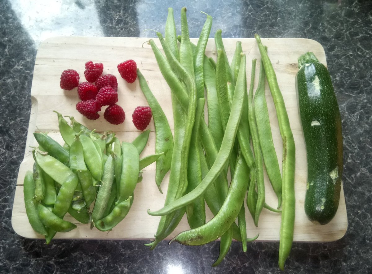 WildlifeVicky's tweet photo. After the crazy epic that was #Trailwalker2017 it's nice to get back to the garden & some natural food π² https://t.co/IFsRjmQnrW