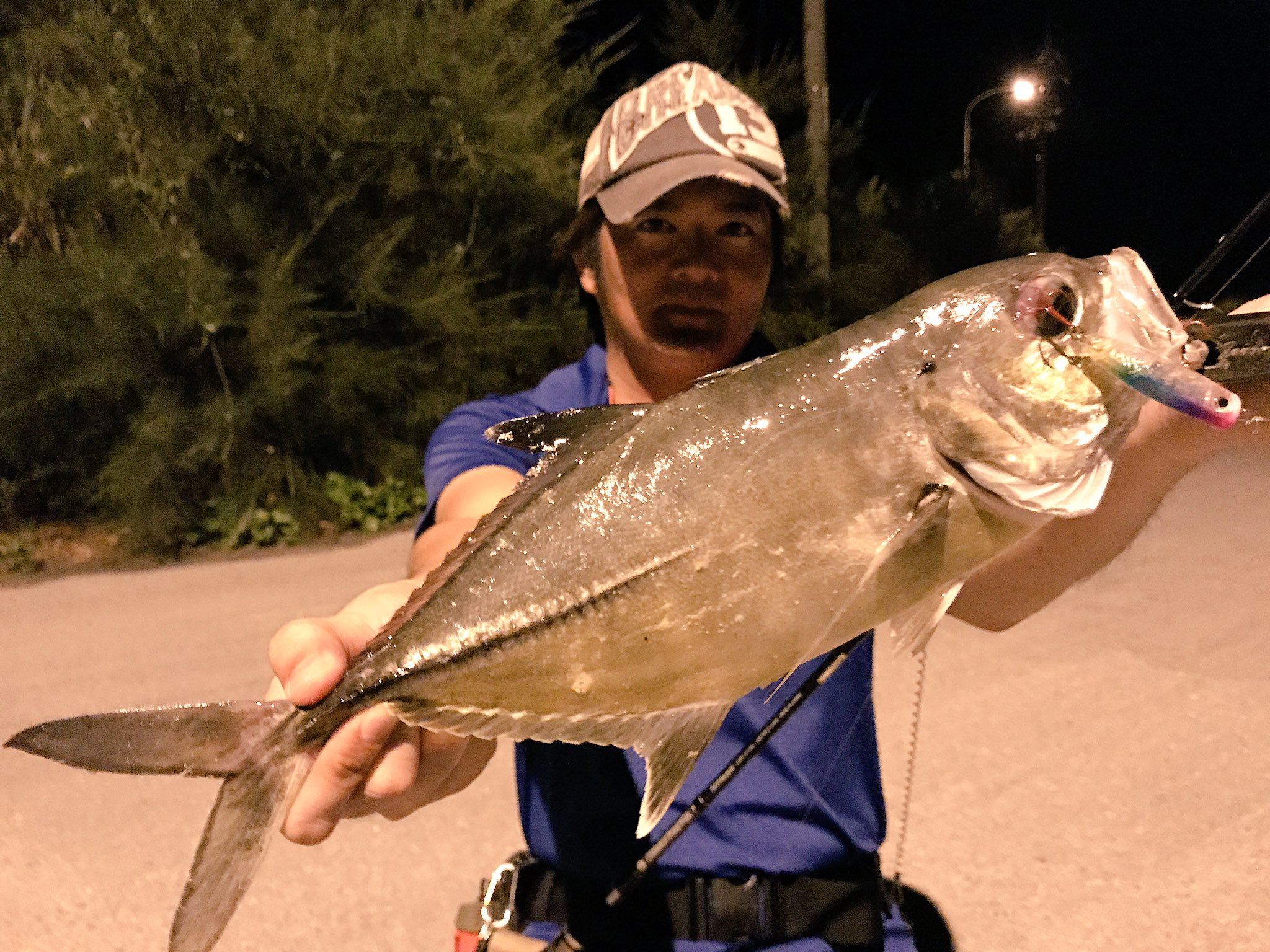 カミヤマ ライトゲーム 昨日の夜釣りはプラグでガーラが結構釣れた 特にポップクイーンで42 のガーラは興奮したな T Co Pyo6mxxhbe Twitter カミヤマ ライトゲーム 昨日の夜釣りはプラグでガーラが結構釣れた 特にポップクイーンで42 のガーラは興奮したな T Co Pyo6mxxhbe Twitter