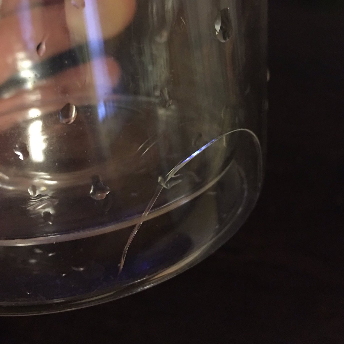 jeffblettner's tweet photo. @WilliamsSonoma what's your products warranty? WS French press is cracking after 6 Mo normal usage. https://t.co/P5smHtFmDJ