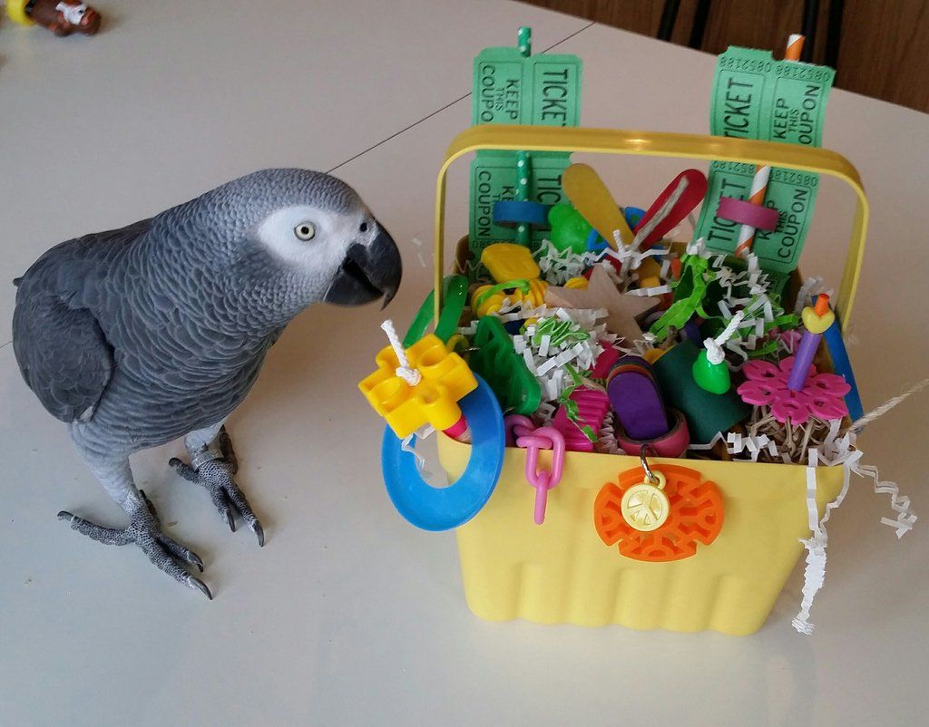 handmade bird toys