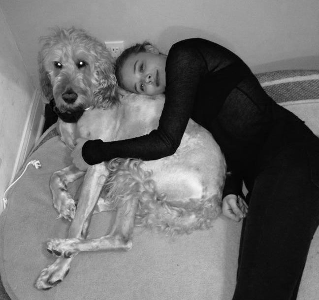 stiofandafyyd's tweet photo. @ChloeGMoretz I'm so sorry for your loss, Chloë 😔 Will never forget how much you loved Fuller. Much love to you &amp; the fam 💗 #RIPFuller https://t.co/amX0NHKHIk