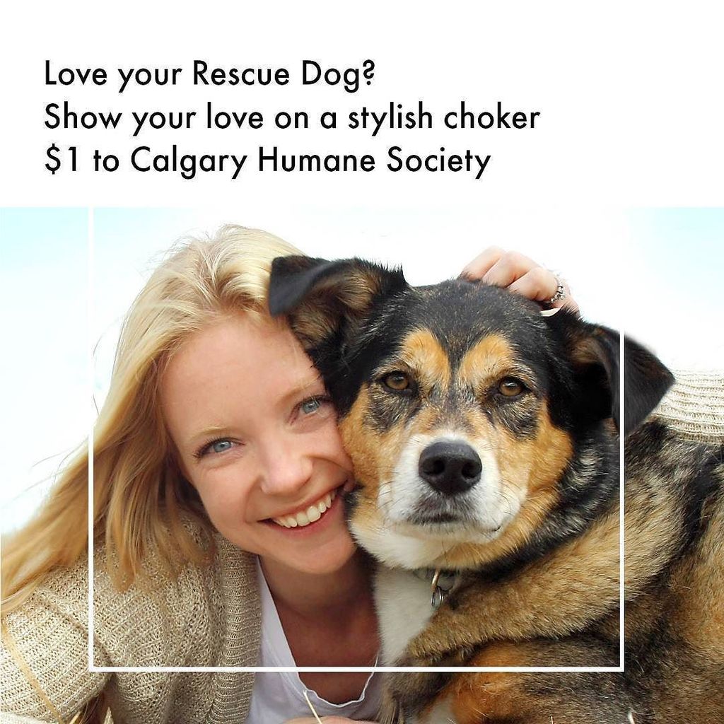 yoshibelladog's tweet photo. Happy #nationalmuttday
We are happy to discount our "I Adopt" choker for $22 CAD. And $1 goes to #calgaryhumane.โฆ https://t.co/r2o0VDDn01 https://t.co/w93PPJAlhN