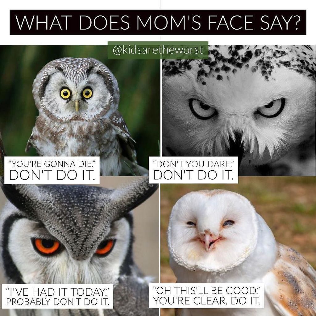 kidsareworst's tweet image. Who? Me?

Seriously, read my facial expressions. No more trips to the hospital. 
#kidsaretheworst (#PKCs anyone?)