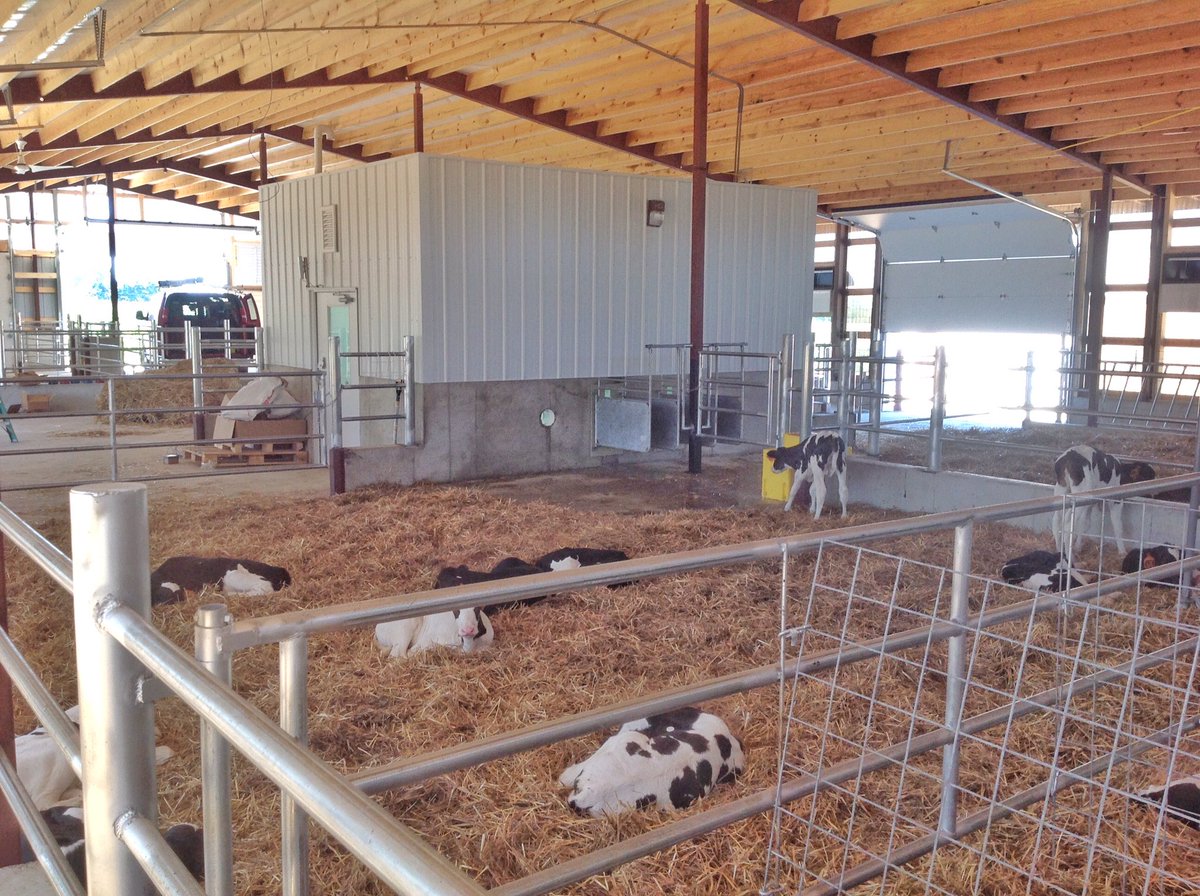 Fox Cities Builders On Twitter Calf Barn With Delavalus Cf1000s