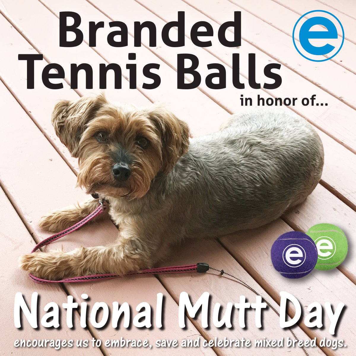 We love our mutts!
National Mutt Day!