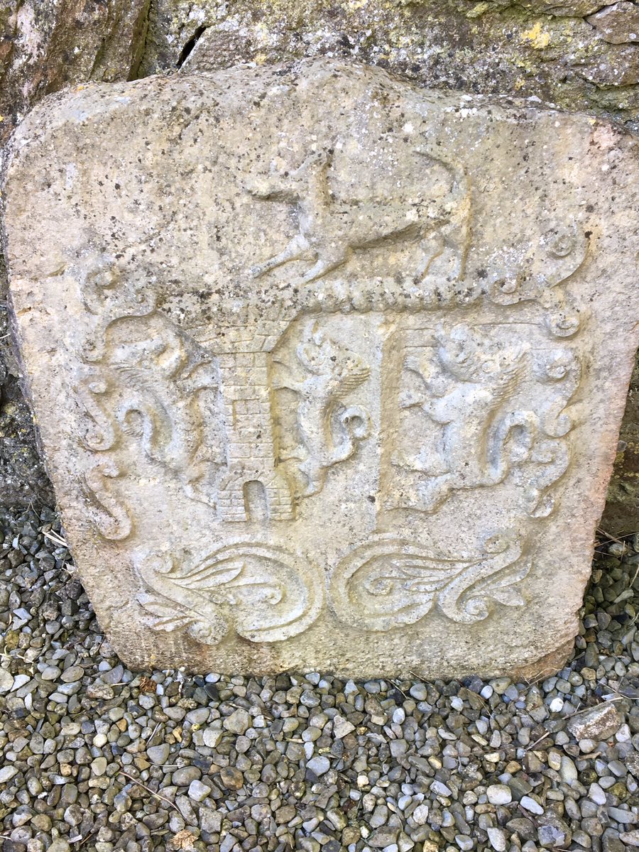 Dr. Bríd McGrath tweet media