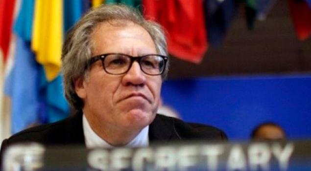 DiarioTalCual's tweet photo. MÁS CLARO, IMPOSIBLE. Luis Almagro sobre la Constituyente: Es un proceso absolutamente nulo https://t.co/i7IQZmmzwD https://t.co/VKjpTSNJnn