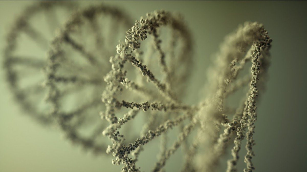 CellBiology_LR's tweet photo. Scientists have found 14 new #genetic markers that help predict #lifespan #SNP #SingleNucleotidePolymorphism https://t.co/wuLMdpVlhg https://t.co/RbE3Lvw09Y