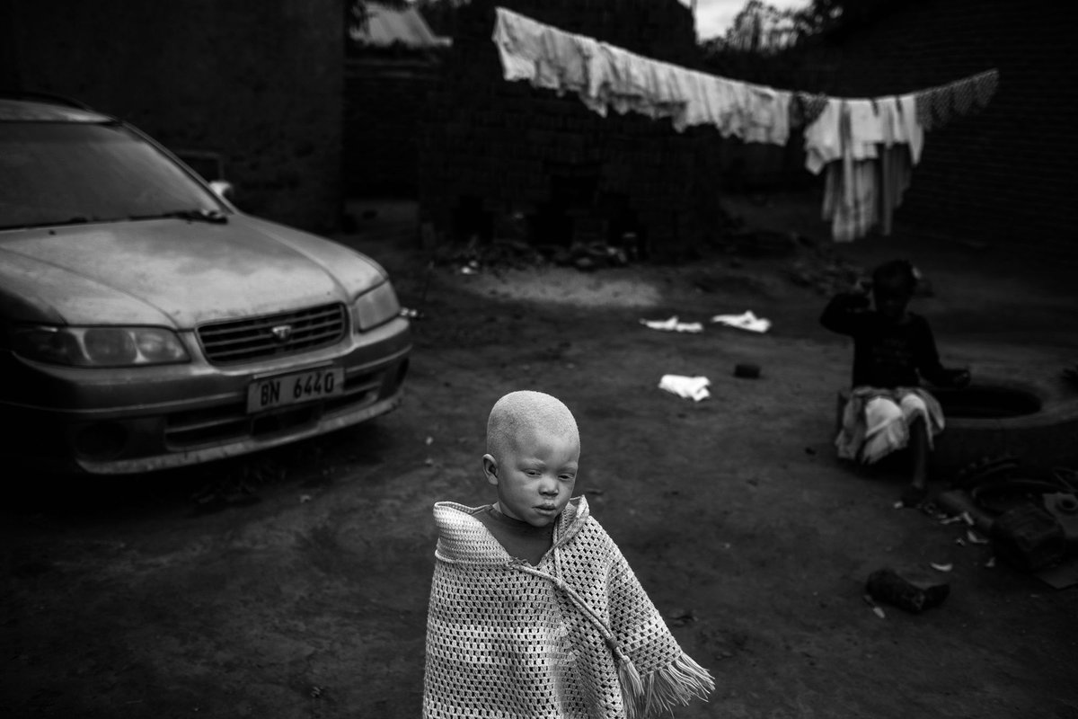 Migueleduardogz's tweet photo. #FotoRecomendación "The Hunted" #DanielRodrigues https://t.co/eG5WTKGBqR