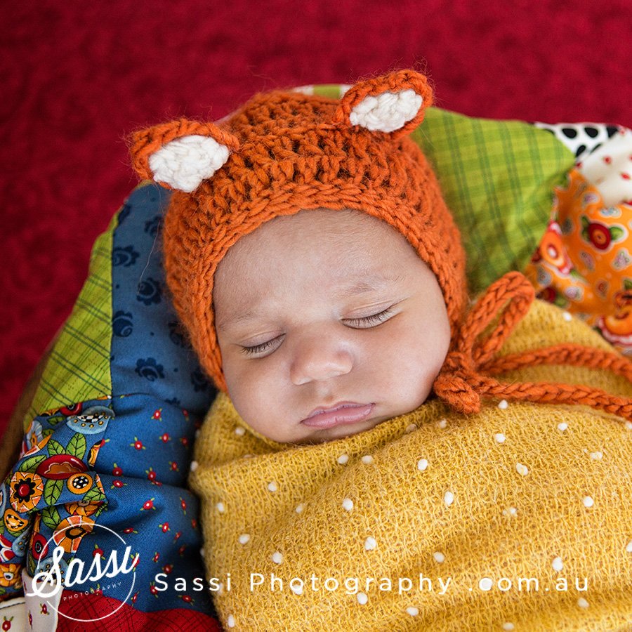 sarapear's tweet photo. Foxy Loxy. https://t.co/Cbjpm8BWZu