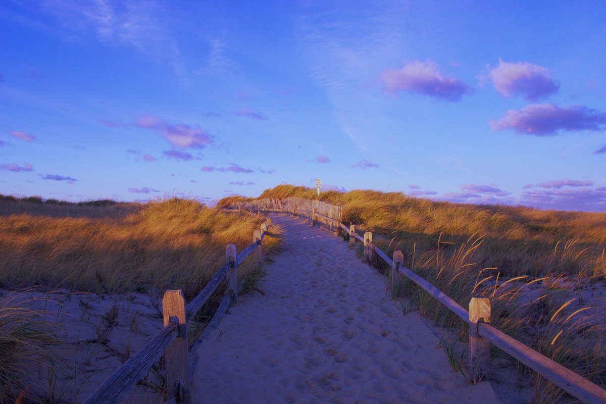 PlacePassTravel's tweet photo. Feeling like another beach day today... PC: maddie.yardley #PlacePass #travel #travelpics #crosbylanding #ma #massachuesetts #beachday https://t.co/KHcIlgPlMn