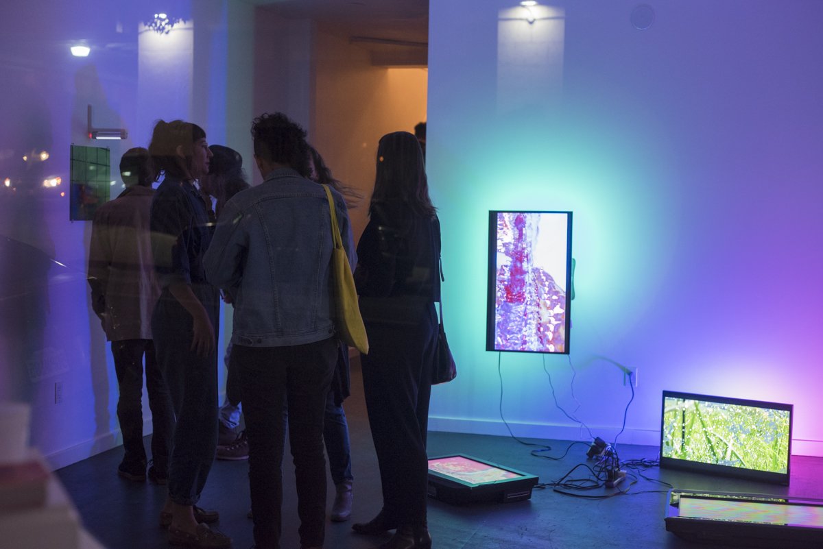 SFAIofficial's tweet photo. Investigate "the nexus of nature and technology" in #SFAIalum Paula Morales' show at #RSFprojects—via 
@JuxtapozMag. https://t.co/bBJvgTvcFa https://t.co/NCRJYJvsyU