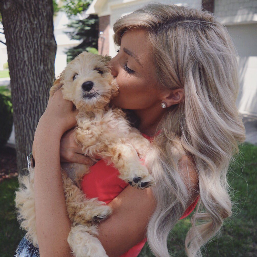 kimberlybrabs's tweet photo. First photoshoot for the little guy with mum &amp; dad @MattyBrabs. Brumby 'Indy' Brabham 🐶💕🏁 #Brumbles #Cockapoo #Puppy https://t.co/cAdjvkfiwV