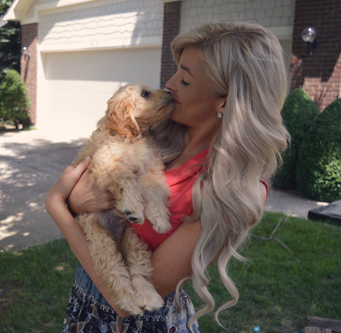 kimberlybrabs's tweet photo. First photoshoot for the little guy with mum &amp; dad @MattyBrabs. Brumby 'Indy' Brabham 🐶💕🏁 #Brumbles #Cockapoo #Puppy https://t.co/cAdjvkfiwV