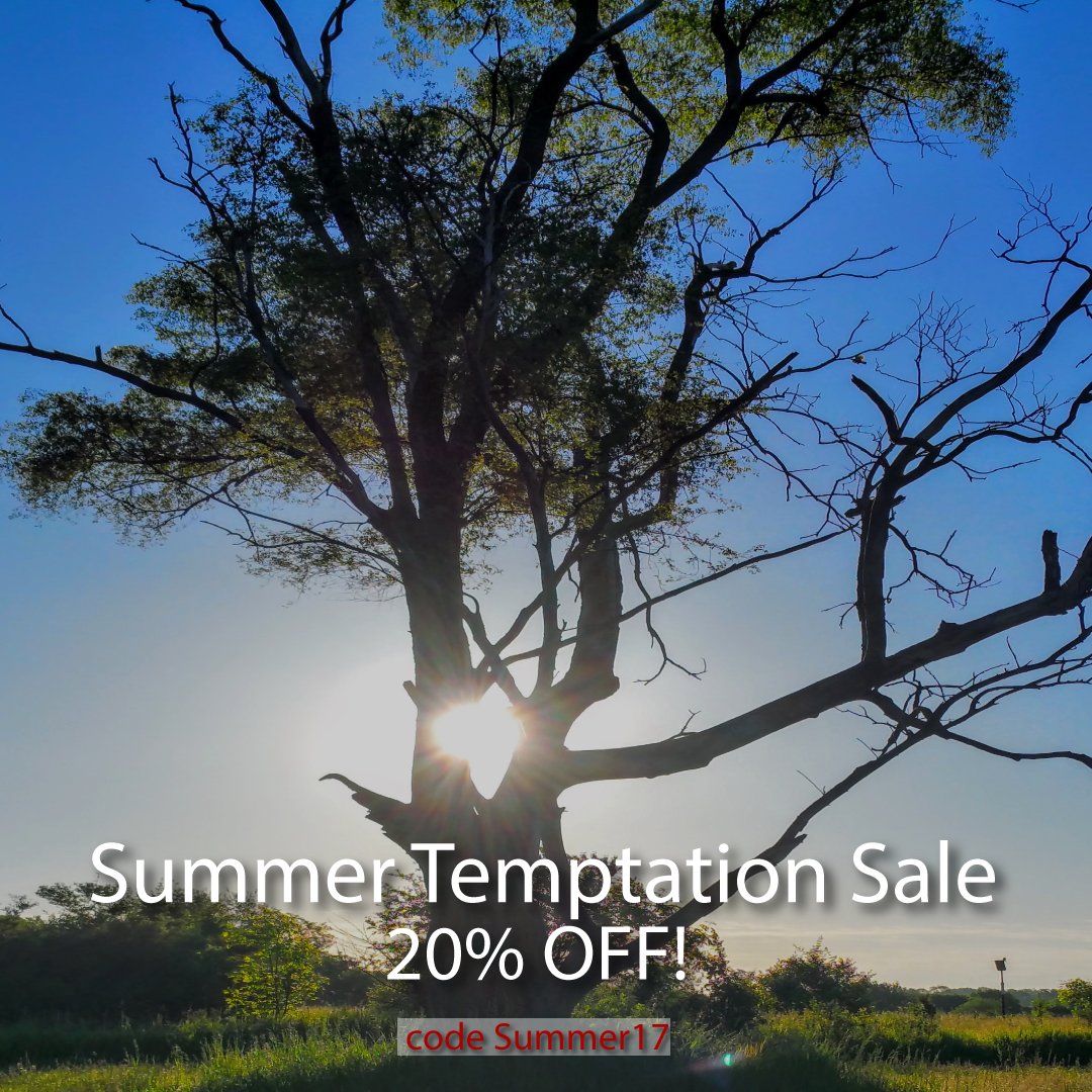 82Temptations's tweet photo. 20% Off. It must be our Summer Temptation #Sale 
Get yours today https://t.co/EqQ2TsTGoJ 
#GiveInToTemptation #gourmet #cookies https://t.co/TcRPqp2hEk