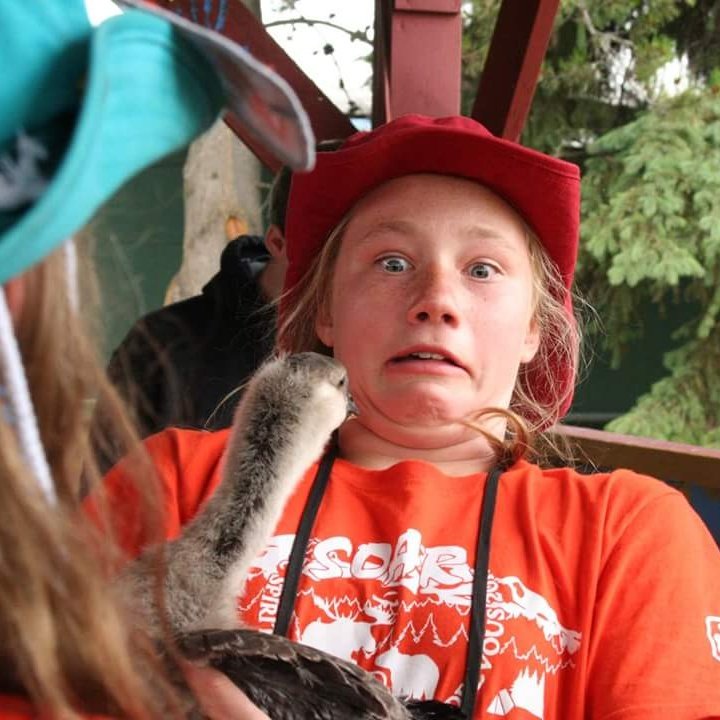 diamondisinger's tweet photo. Youth from @4HCanada visited @ggcsoarbc to intro @girlguidesofcan to some 🦆🐮🐖🐑 - comedy ensued! Can't stop giggling at these pics. 😂 #soarbc https://t.co/wp5GmdddXX